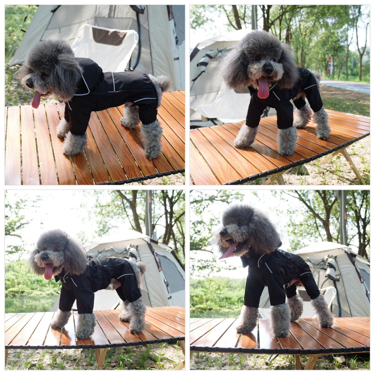 Waterproof Dog Raincoat with Removable Hood (Black / 4XL (Back 23.5"))