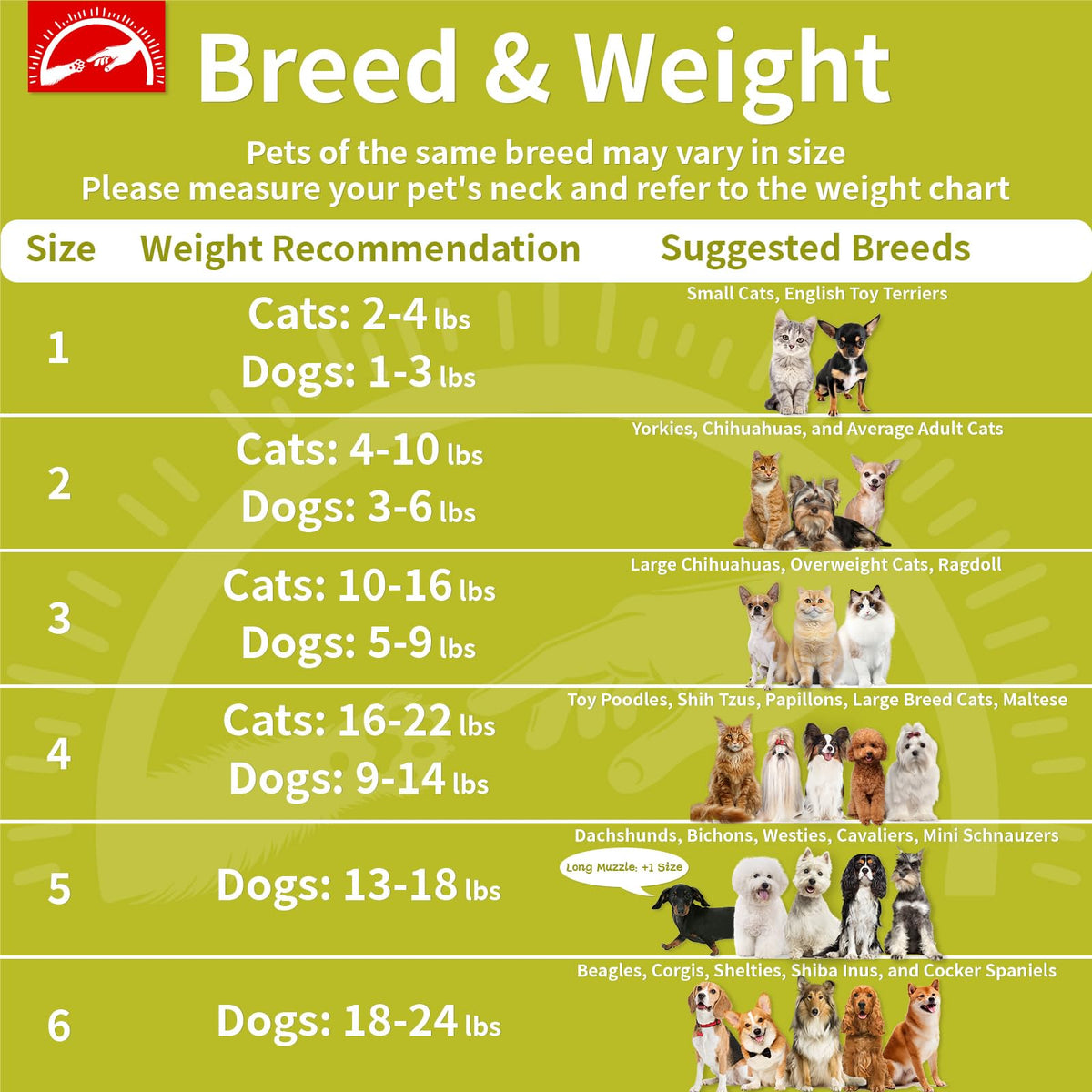 Soft Dog Cone for Small Dogs & Cats (Green (Small Dogs Cone) / 3 (Neck:8"-10"))