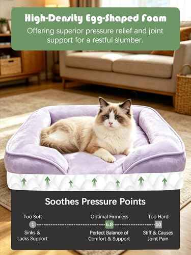 Orthopedic Dog Bed with Sides (24.0"L x 18.0"W x 6.0"Th / Purple)