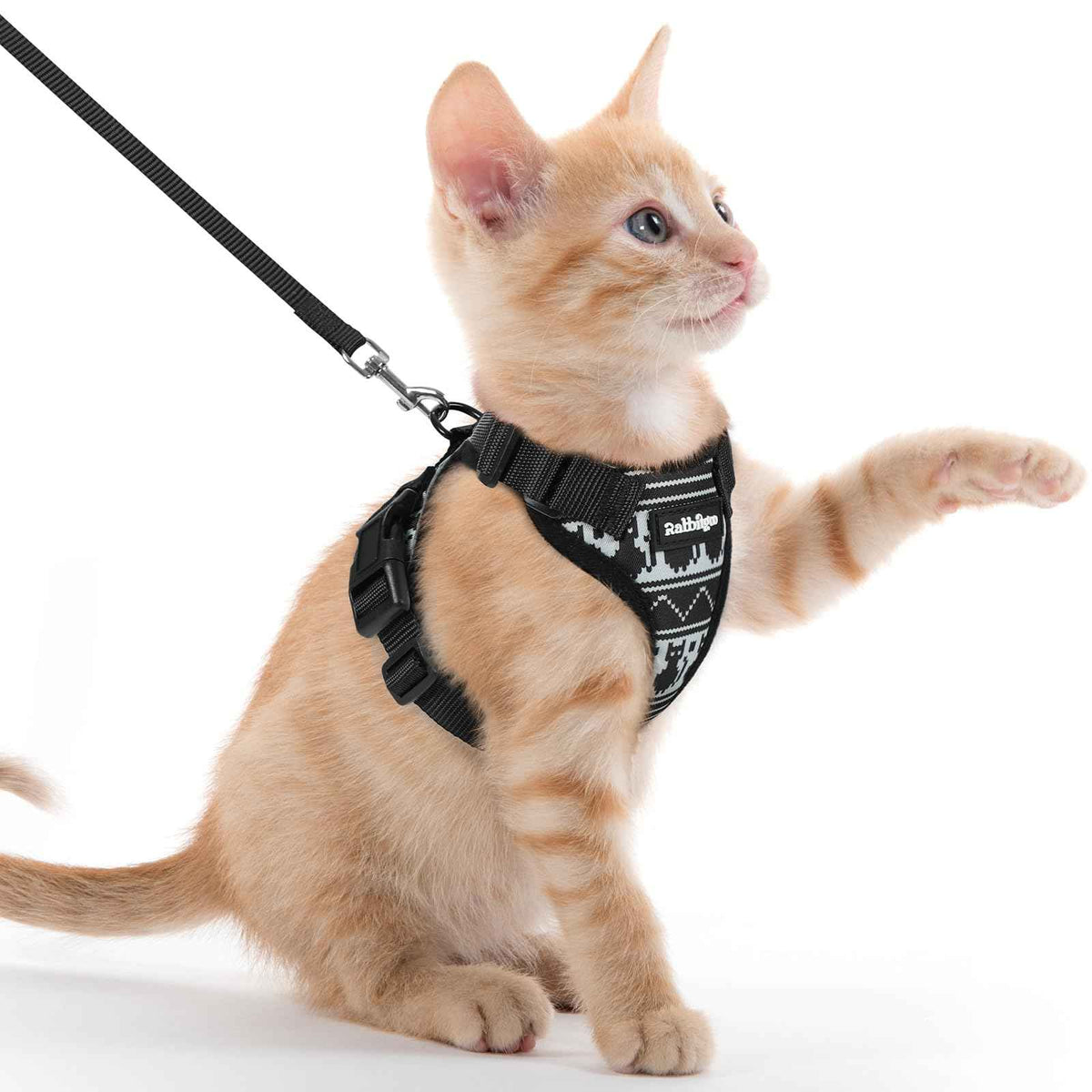 Cat Harness and Leash Set (Xxs / Pixel Tabby)