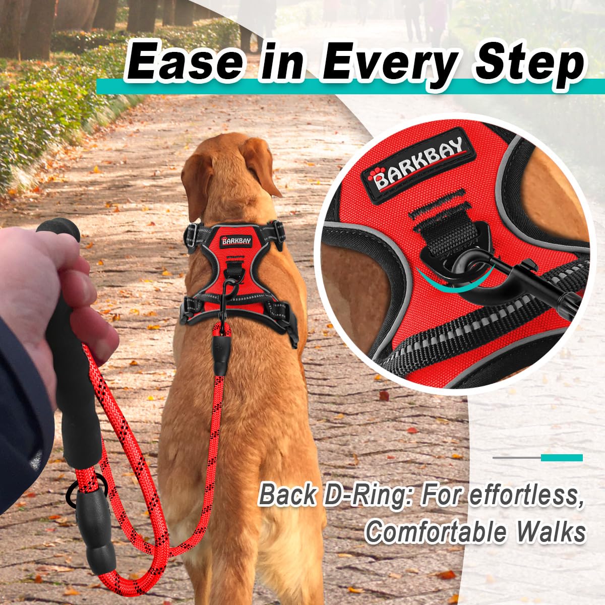 Dog Harness for Small Sized Dog No Pull 2 Leash Clips Dog Vest (Red / Small)