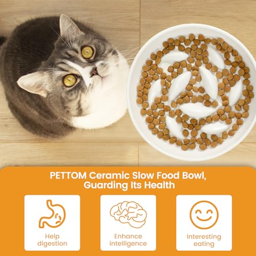 Slow Feeder Cat Bowl Elevated Ceramic with Bamboo Stand (White Fish)