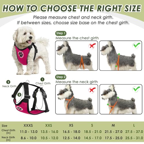 Dog Seat Belt and Harness for Car (Fuchsia / Medium)