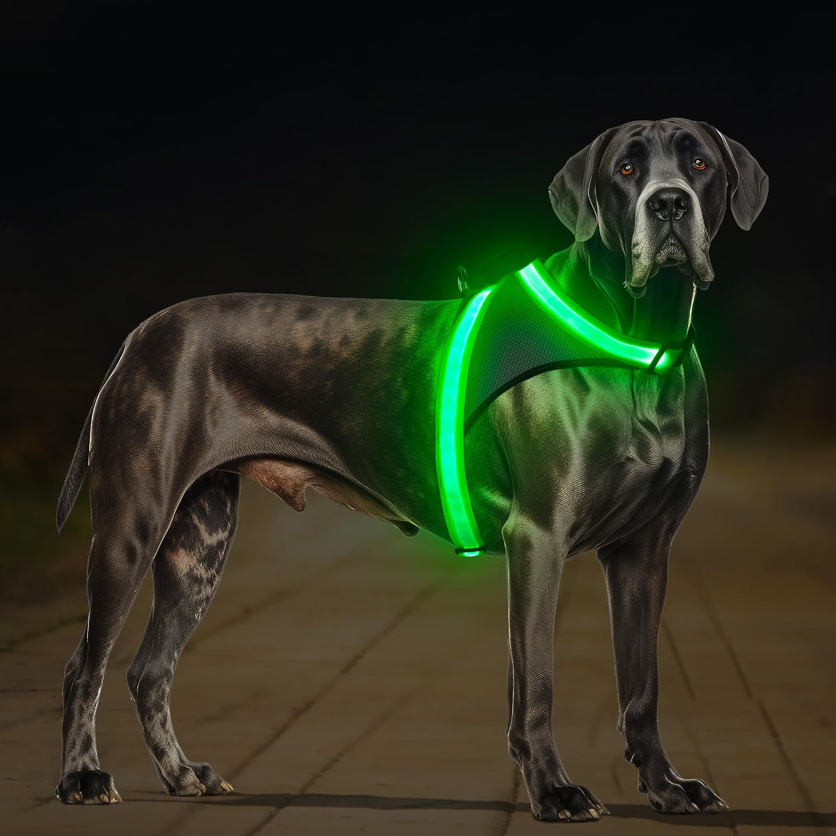 Light Up Dog Harness (Extra Large / Green)