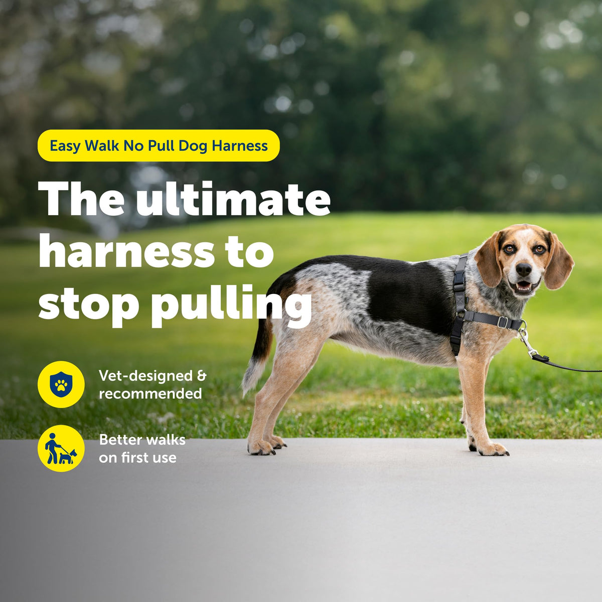Easy Walk Harness (Small/Medium / Charcoal/Black)