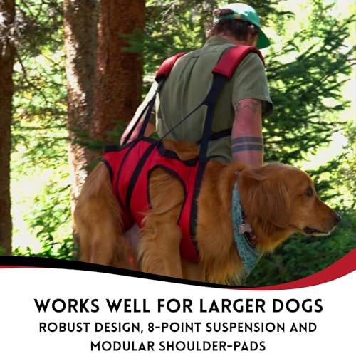 Airlift Original V2 Dog Carrier Sling (Medium (20–45 lbs) - Original V2)