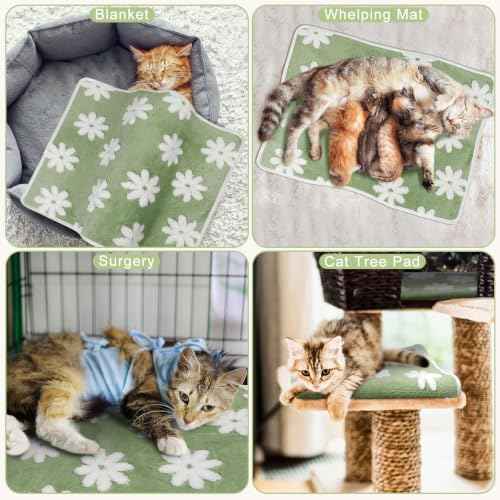 2 Pcs Self Heating Cat Dog Pad Mat (24x18)