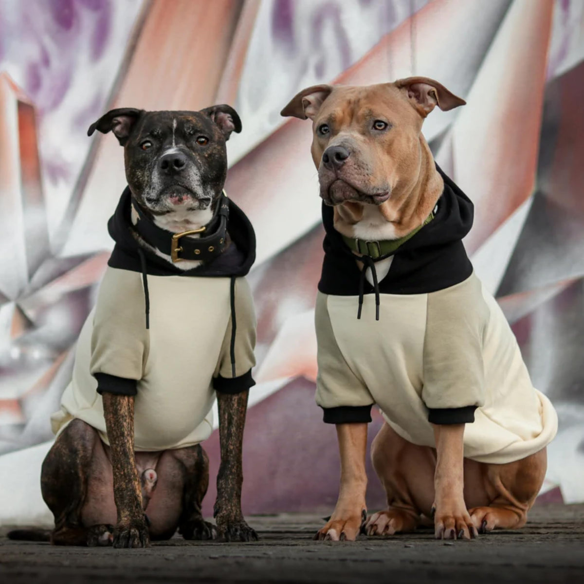 Dog Hoodie Buttery (Olive Cream / Large)