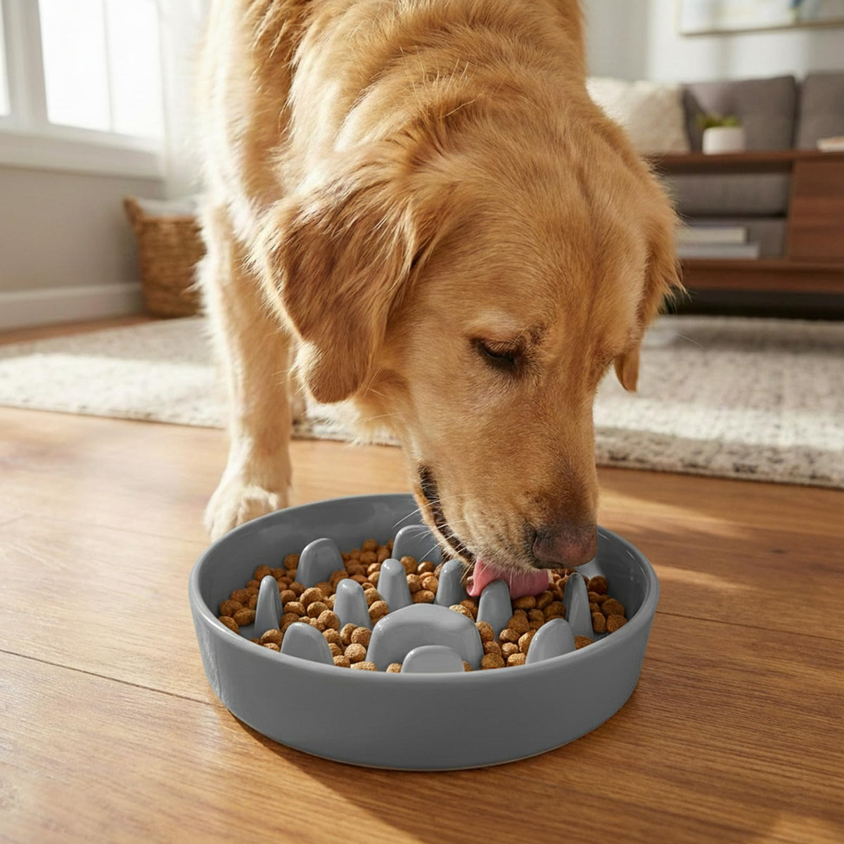 Ceramic 1.5 Cup for Small & Medium Breeds Slow Feeder Dog Bowl (Grey)