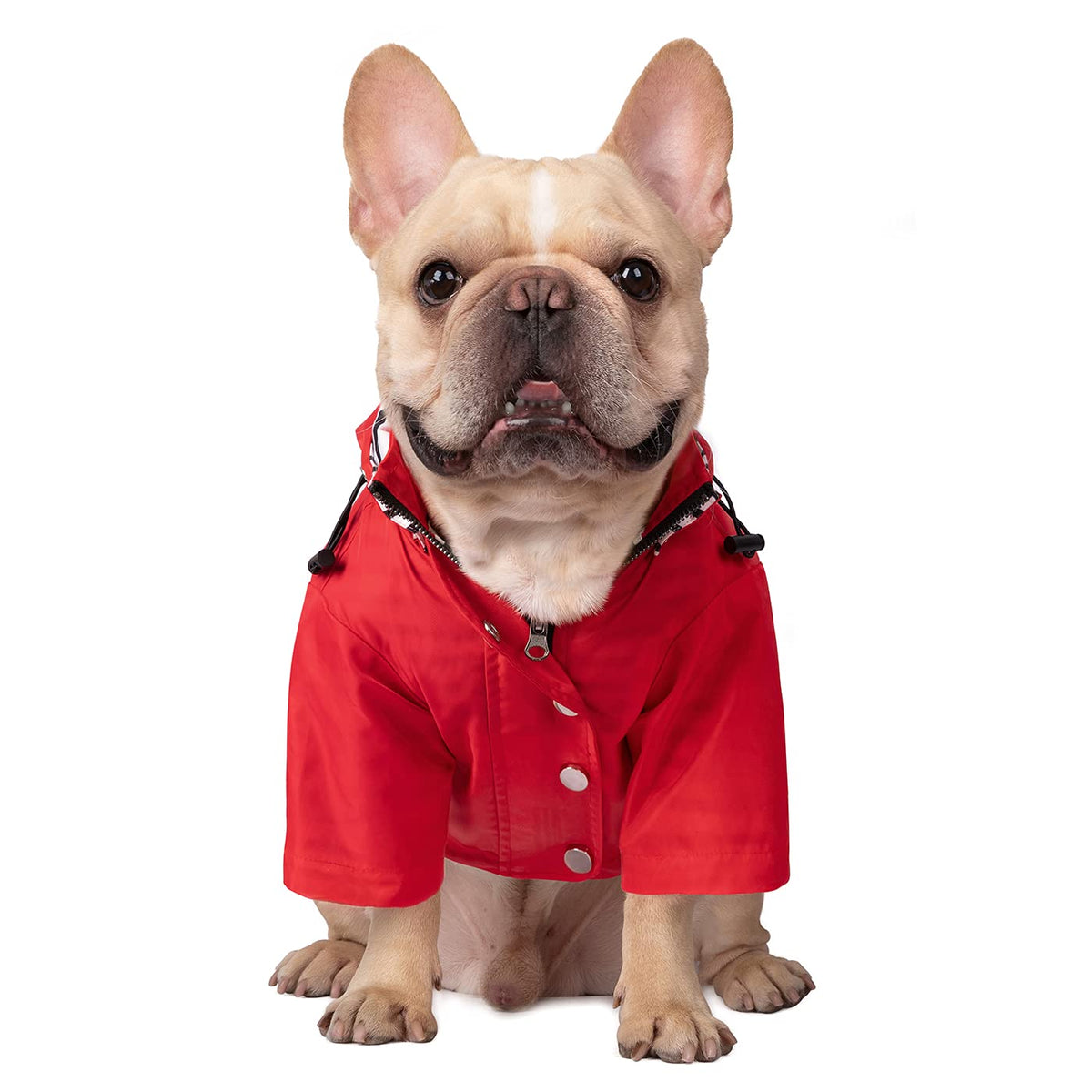 Premium 2 Layer Zip Dog Raincoat Poncho w (Small / Red)