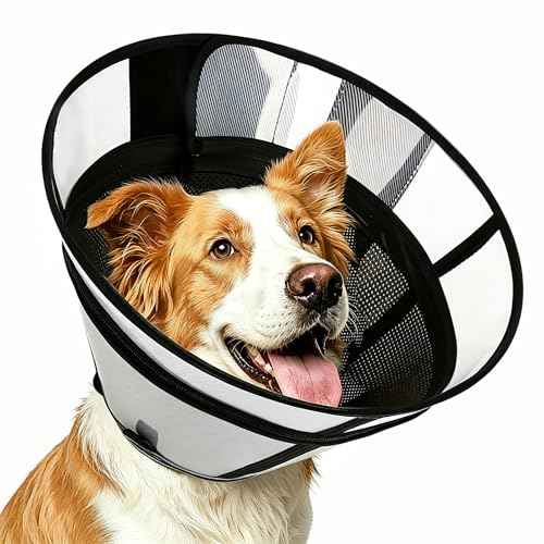 Soft Transparent Dog Cone Collar (S (Neck: 10.24-12.01") / Black)