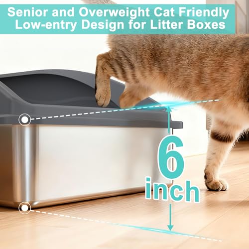 Stainless Steel Litter Box (Light Gray / X-Large)