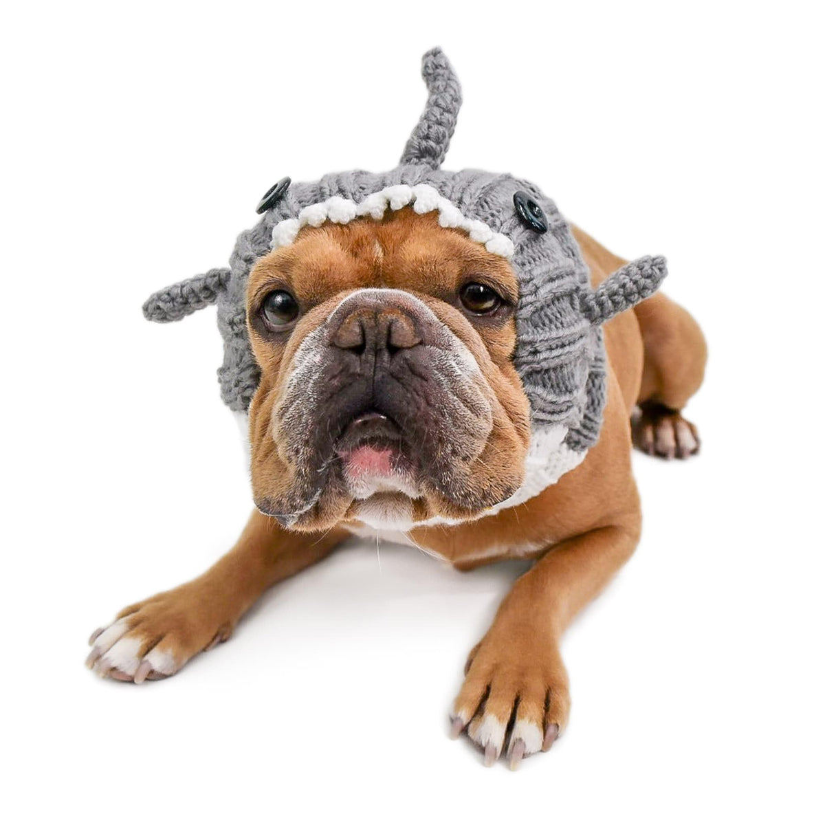 Grey Shark Costume (Medium / Grey)