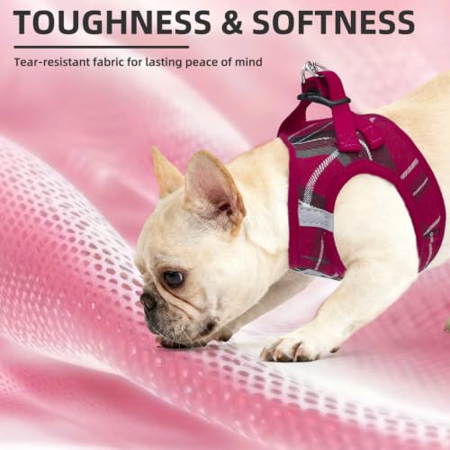 Dog Harness Collar and Leash Set No Pull for Small Medium Sized