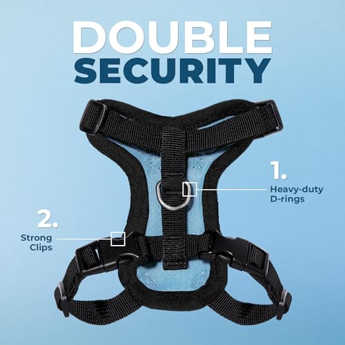 Voyager Step in Lock Cat Harness & Leash Set (Baby Blue/Black Trim / XXS (Chest: 11.5 - 14"))