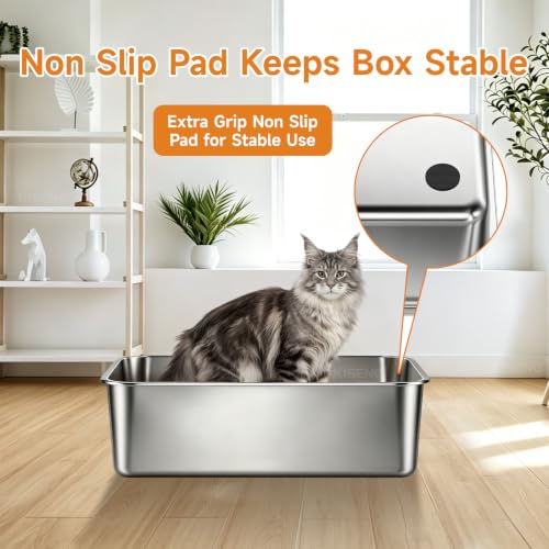 Low Side Stainless Steel Cat Litter Box (19.69" L x 13.78" W x 3.94" H)