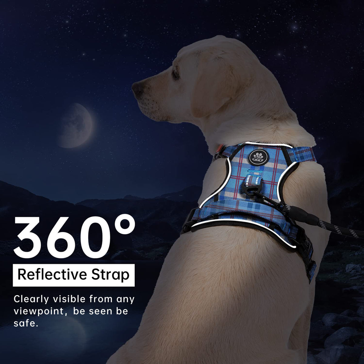 No Pull Dog Harness for Medium Dogs (Checkered Blue / Medium)