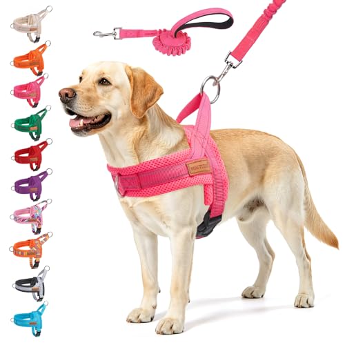 Dog Harness for Large Dogs (Dark pink / L: Chest 26"-32")