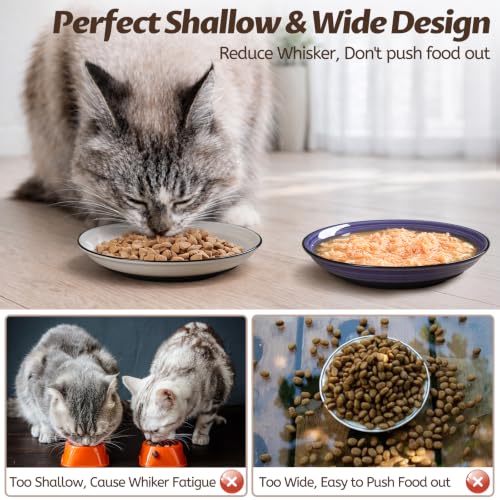 Cat Food Bowl (Spiral-4 Pack)