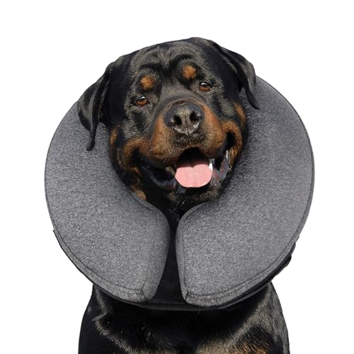 Inflatable Dog Cone After Surgery (Grey / XL(21"-24"))