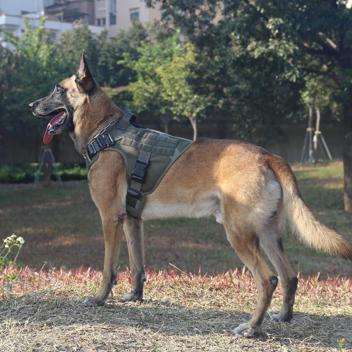 Tactical Dog Harness (X-Large (Pack of 1) / Green)
