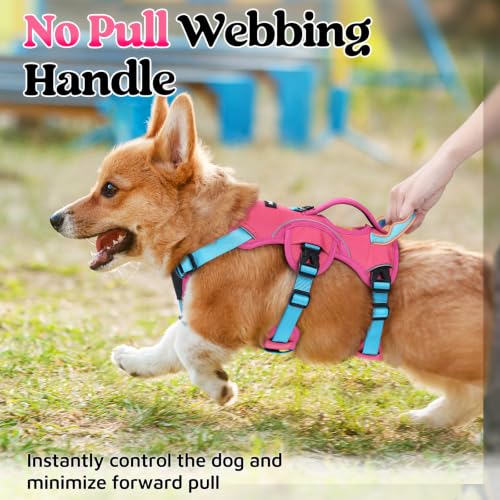 Escape Proof Dog Harness for Small (Sky & Peach & Rose / Small)