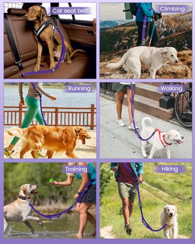 Hands Free Dog Leash with Seatbelt Set (Purple (Detachable) / 71-110‘’)
