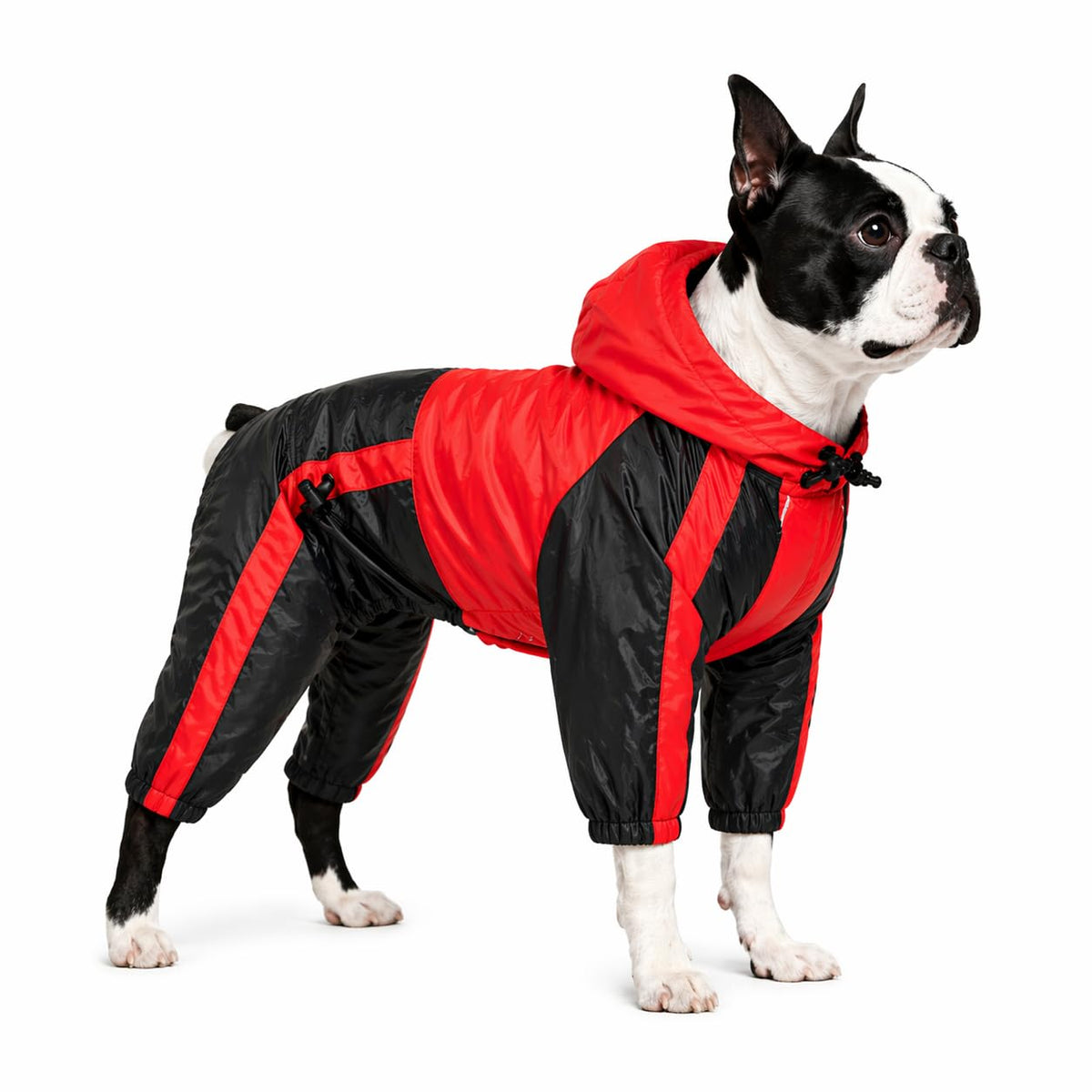 Dog Hooded Raincoat (L-XS (Medium Dog ~20lbs) / Red)