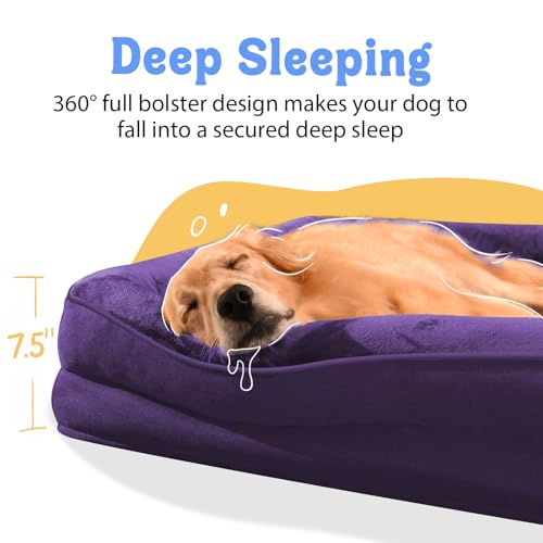 Waterproof Orthopedic Dog Bed for Large and Extra Large Dogs (Deep Purple / 42"L x 30"W x 7.5"Th)
