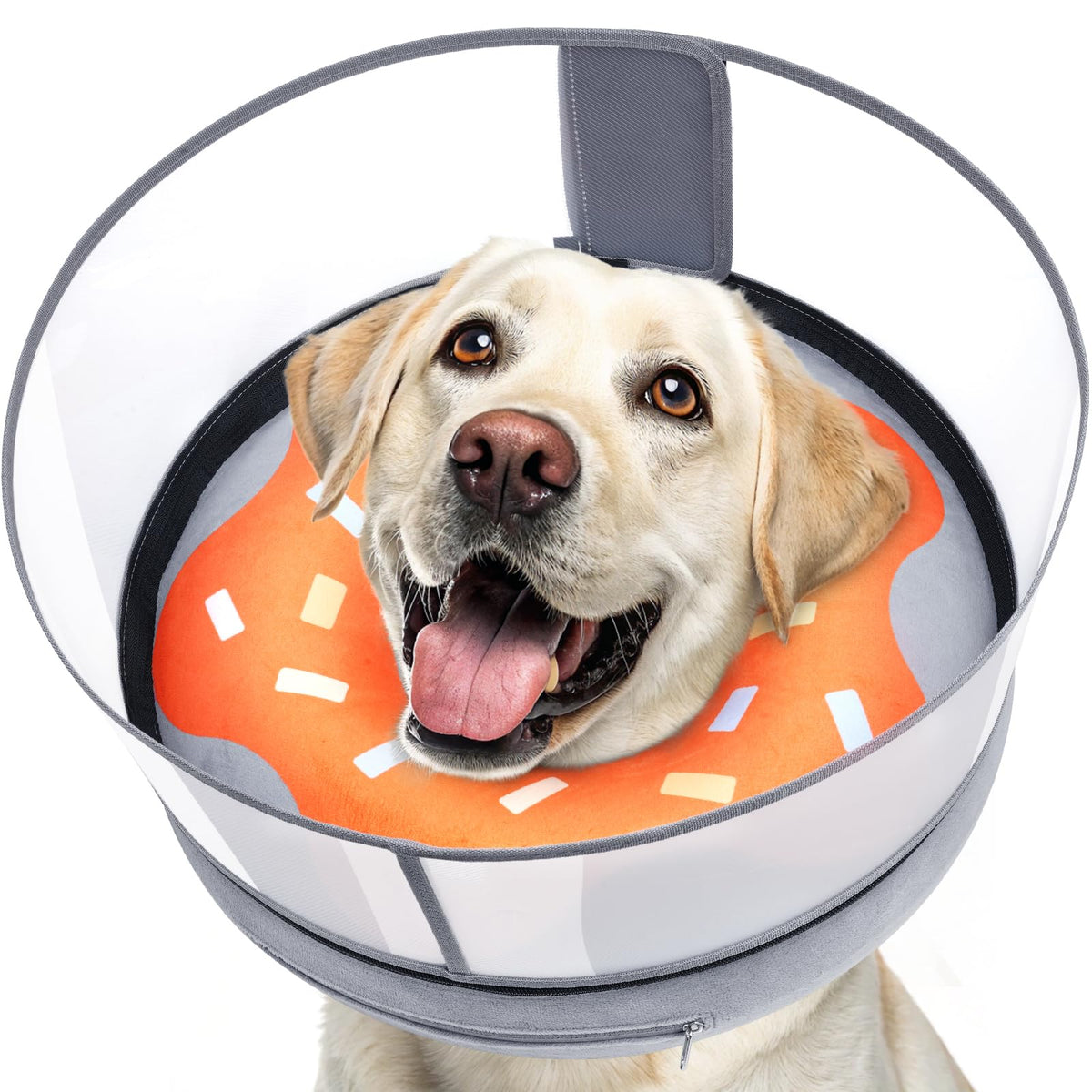 Inflatable Dog Cone with Anti (S (Neck: 5"-8"))