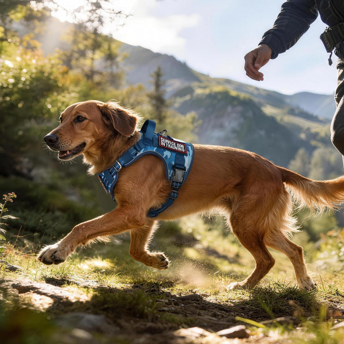 Tactical Dog Harness for Small Dogs (S(Chest:16.1"-31.5",Neck:15.4"-21.6",Back:7.1") / Blue Camo)