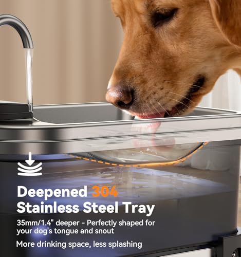 9L 2.38Gal Dog Water Fountain Elevated with 4 (Water Fountain + 3 Filters + 3 Sponges)