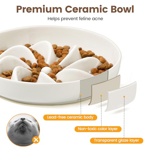 Slow Feeder Cat Bowl Elevated Ceramic with Bamboo Stand (Lotus)