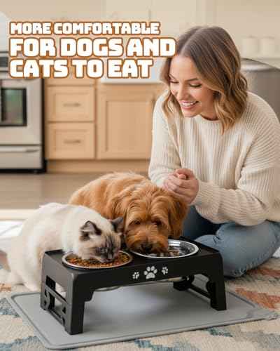 Elevated Dog Bowls for Small Dogs and Cats with Mat (for Small Dogs 1 Basic&1Slow Bowl with Mat / Black)