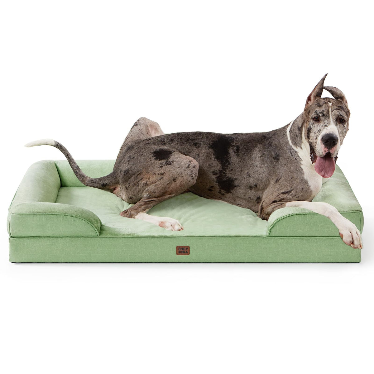 Orthopedic XXL Dog Bed (Sage Green / 52.0"l X 41.0"w X 8.0"th)