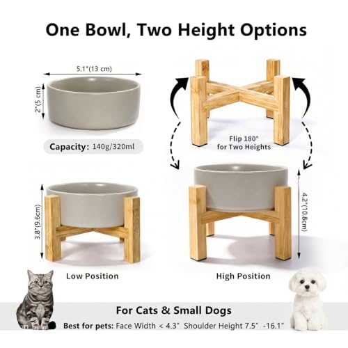 Raised Dog Bowl (Small / Grey)