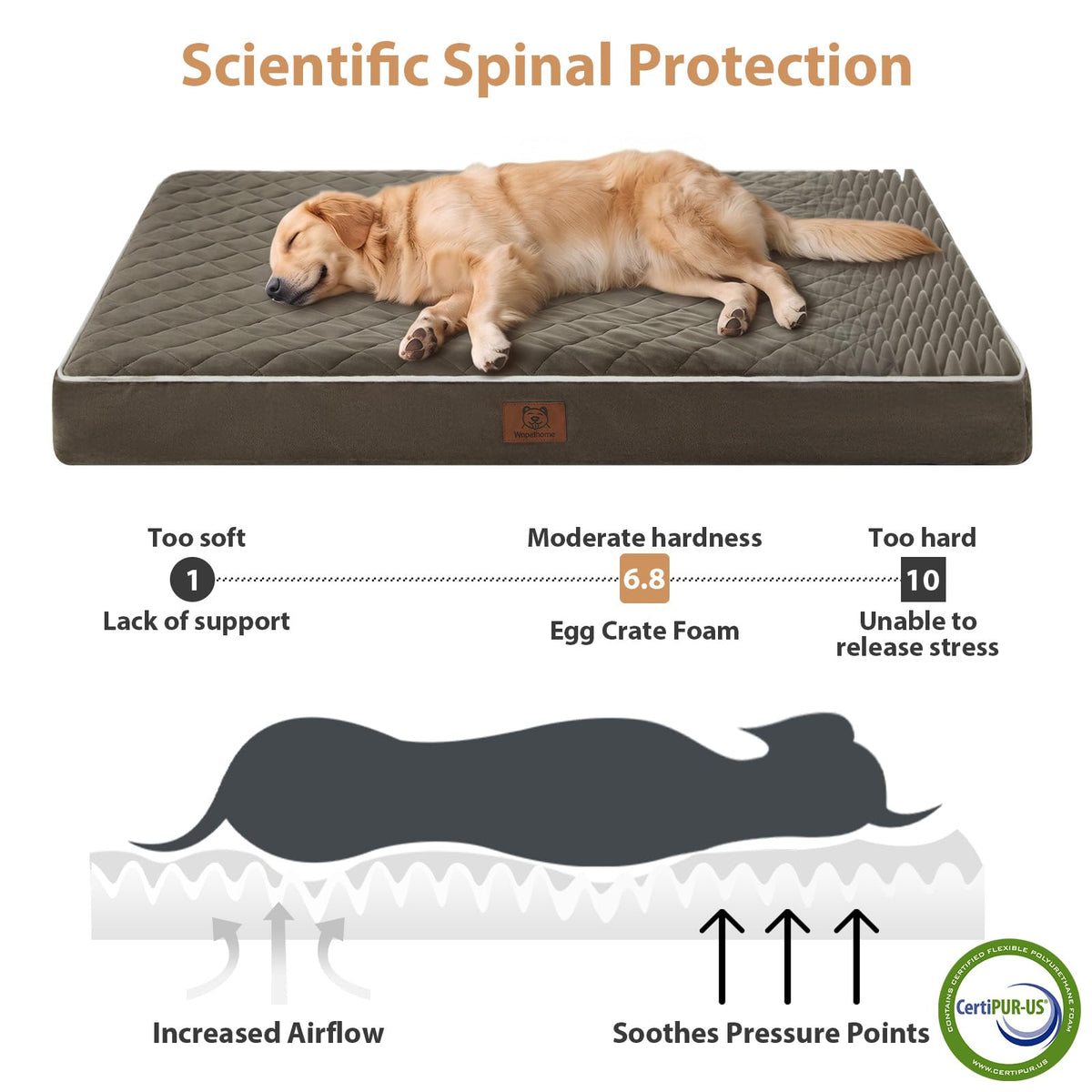 Orthopedic Giant Human Dog Beds for Adult & Dog Cozy Sleep (Dark Green / 61"L x 43"W x 4"Th)