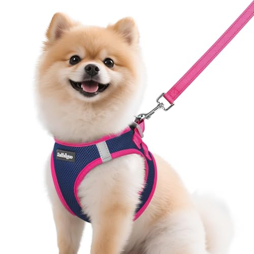 Dog Harness Small Sized and Leash Set (Navy Blue & Rose Red / M (Chest: 16.0"-18.5"))