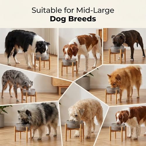 Dog Bowl Stand for Mid (For Large Dogs - 11 inch Height / Bamboo)