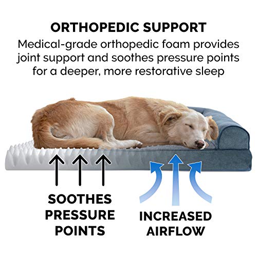 Orthopedic Dog Bed for Large Dogs w (Jumbo / Orion Blue)