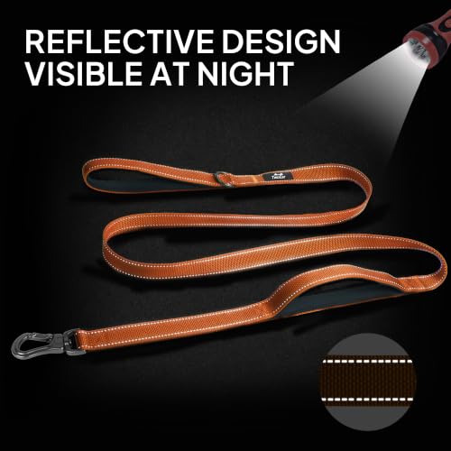 6FT 1IN Heavy Duty Dog Leash for Large Dogs with 2 Padded Handles (Orange / 1 in x 6 ft)