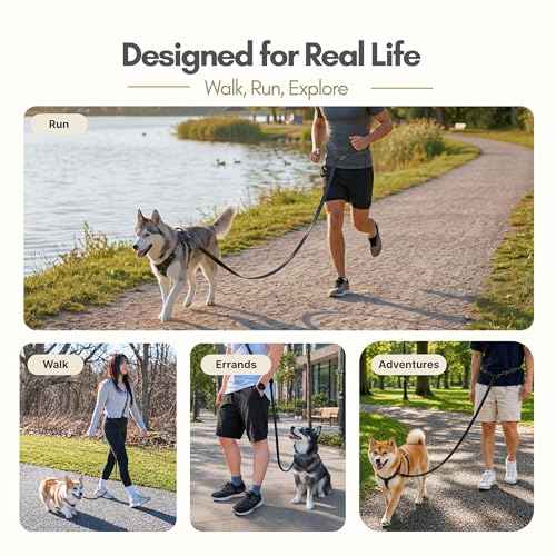 Hands Free Waterproof Dog Leash (Blue / 8 FT)