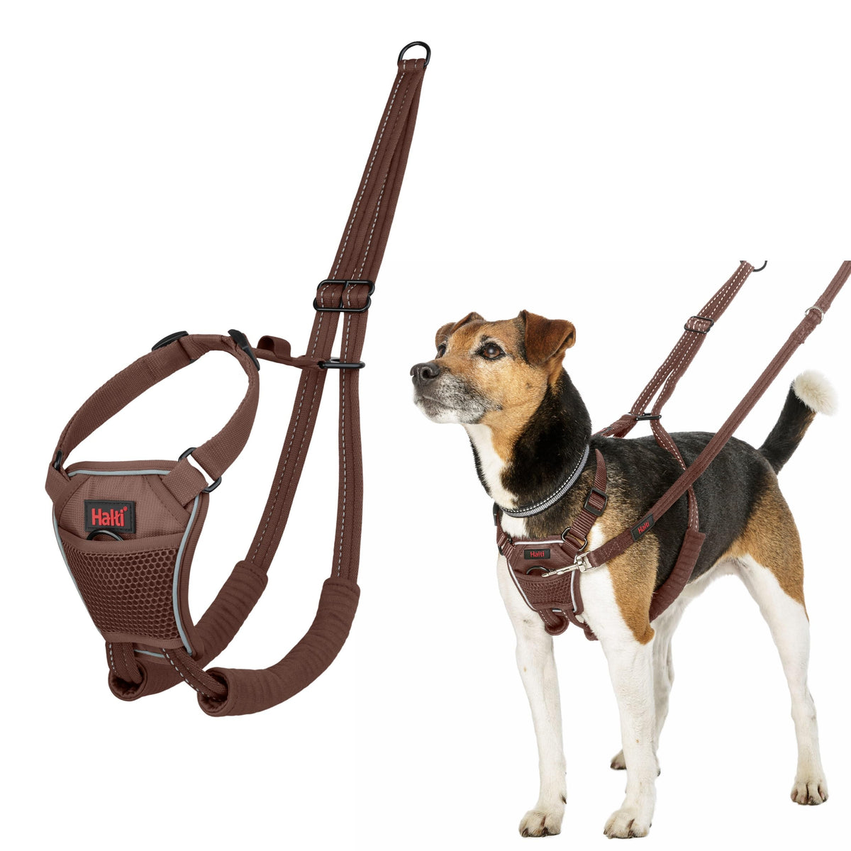 No Pull Dog Harness (Deep Walnut / XS)