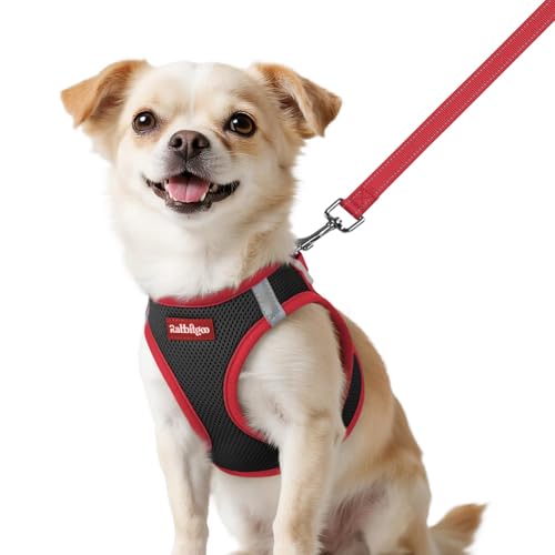 Dog Harness Small Sized and Leash Set (Black & Red / XXS (Chest: 12.4"-14.2"))