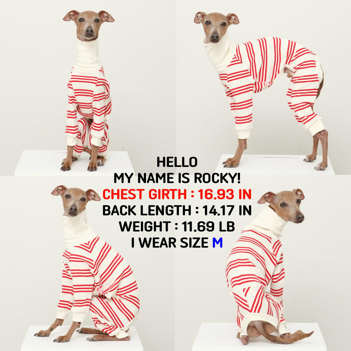 D Doggy Star Italian Greyhound Clothes Soft Stretchy Onesie Refined Stripe Outfit Whippet for Dog Coat (2XL / Onesie Red Stripe)