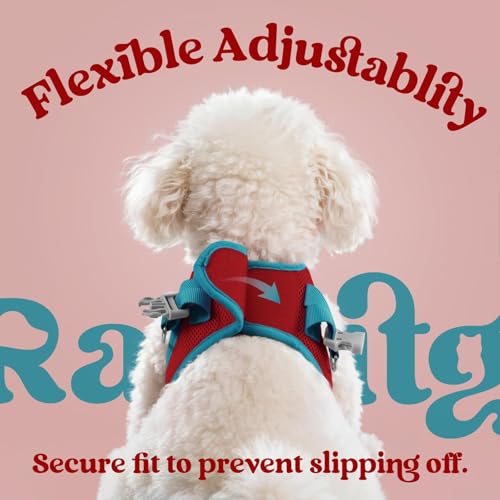 Dog Harness Small Sized and Leash Set (Red & Teal / XXS (Chest: 12.4"-14.2"))
