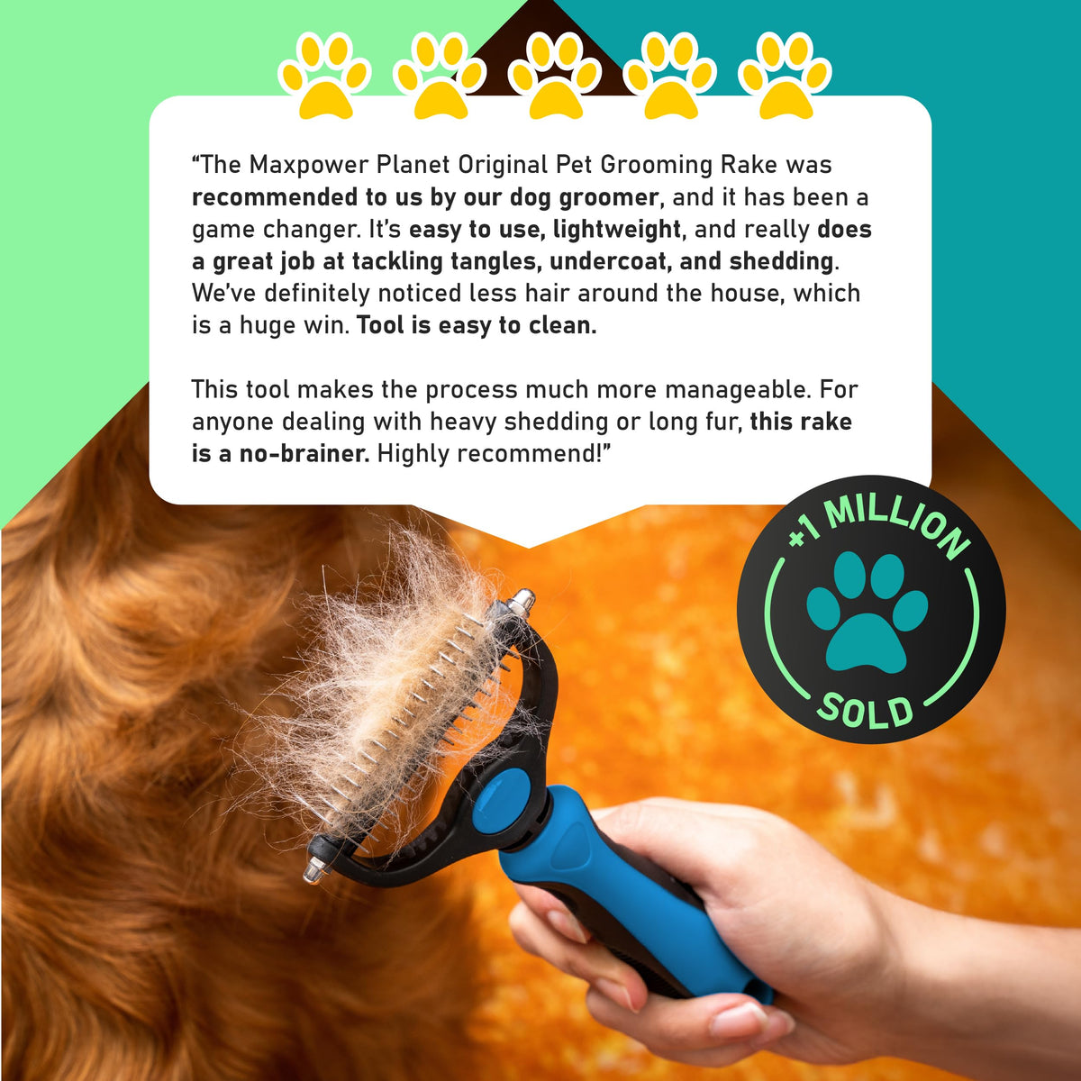 Dog Grooming Rake (Blue / Large)