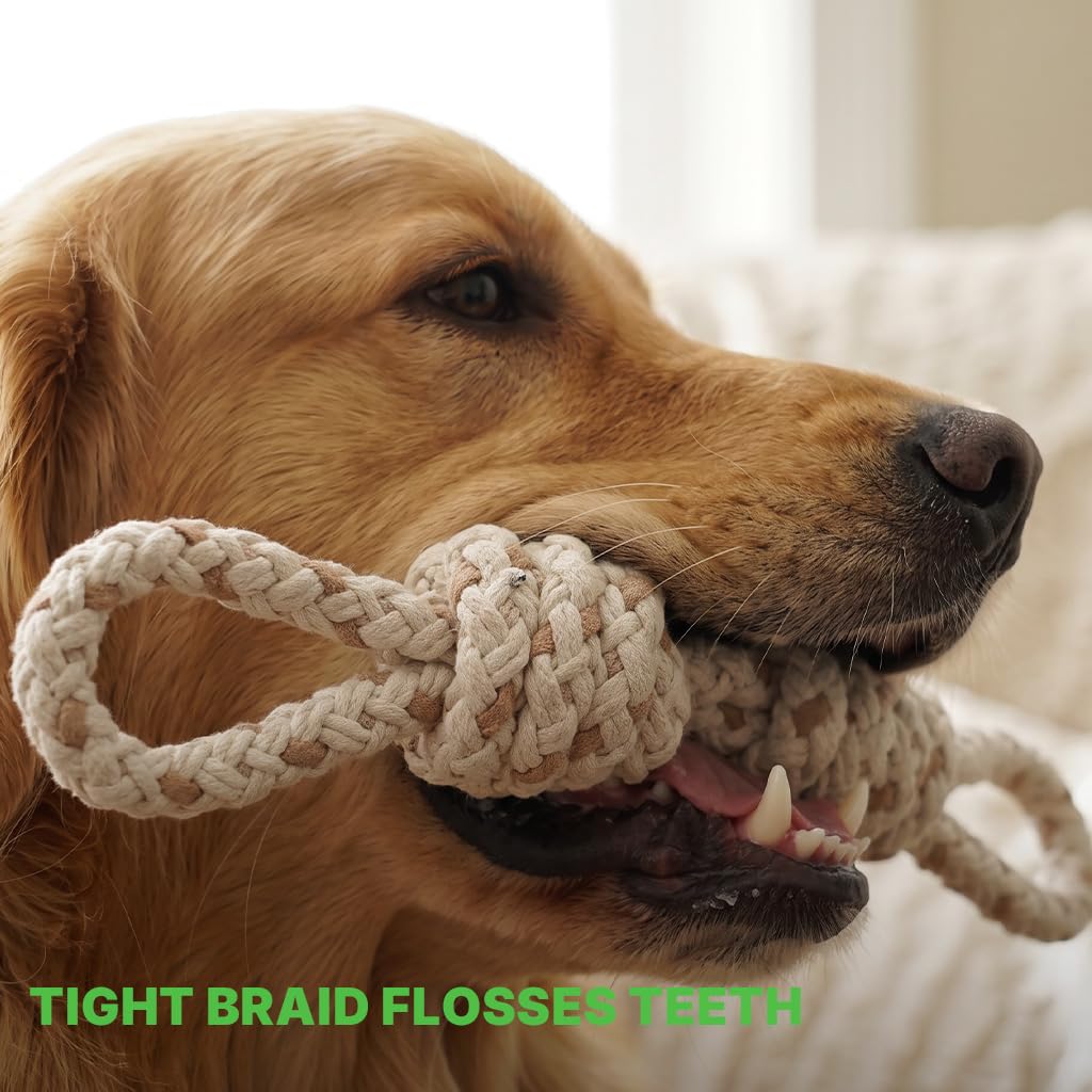 Tug of War Dog Toy (Double Knot Tug)