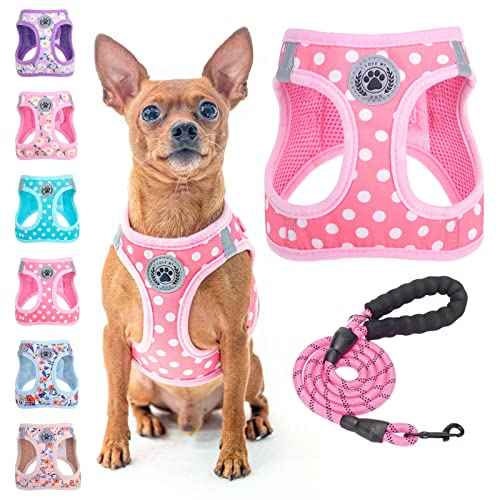 Step in Dog Harness and Leash Set (XX-Small(Chest Girth 11.5"-13") / Pink Polka Dots)
