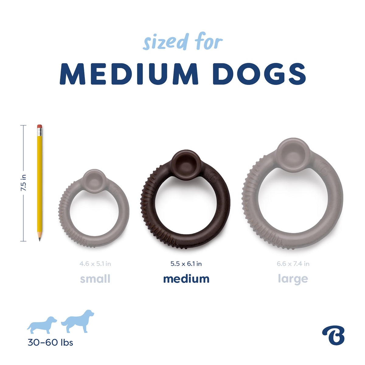 Ring Dog Chew Toy for Aggressive Chewers (REAL Blueberry / Medium)